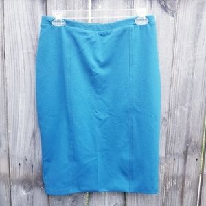 Blue Pencil Skirt